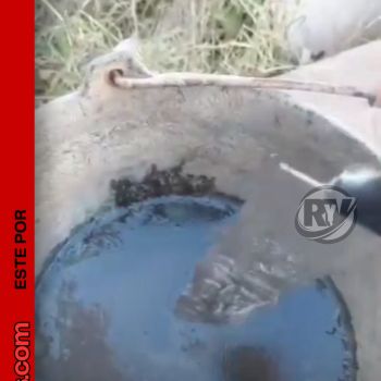 El frío extremo congeló Roldán: un vecino mostró cómo amaneció todo cubierto por la helada